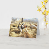 7 x5-inch gevouwen kaart || Kritten in Hay (Gele Bloem)