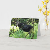 7 x5-inch gevouwen kaart || Moose Lunch v5 (Gele Bloem)