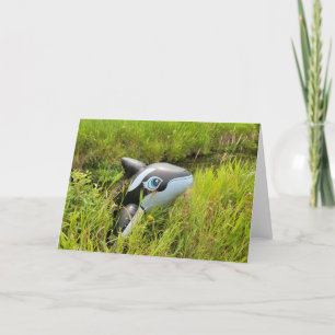 7 x5-inch gevouwen kaart     Sage Creek Orca