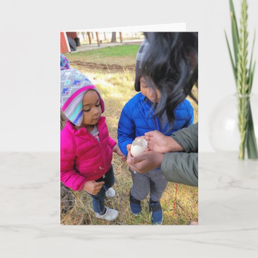 7 x5-inch gevouwen kaart | | Wilde ganzeneieren (Voorkant)