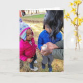 7 x5-inch gevouwen kaart | | Wilde ganzeneieren (Gele Bloem)