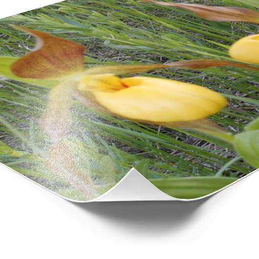 7 x 5 Foto afdrukken (Hoek)