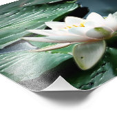 7 x 5 fotoafdrukken foto afdruk (Hoek)