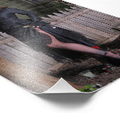 7 x 5 inch Chrissy Kittens De heks is ver weg Foto Afdruk (Hoek)