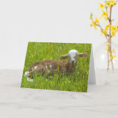 7 x 5 inch gevouwen kaart|| Lambie-scout Kaart (Gele Bloem)