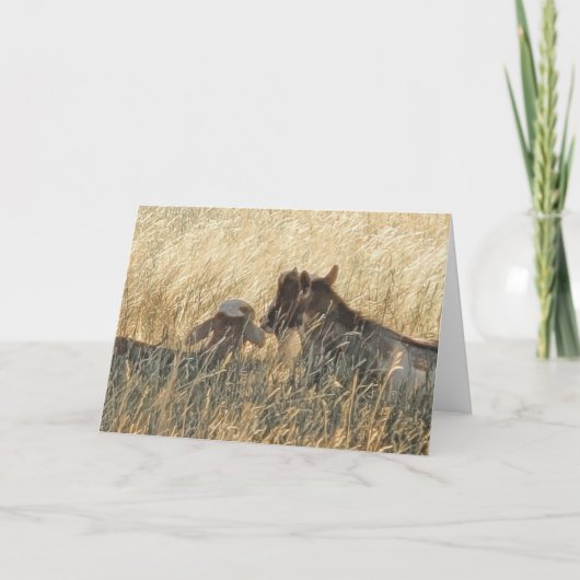 7 x 5 inch gevouwen kaart|| Scout en Jigzaag Kaart (Voorkant)