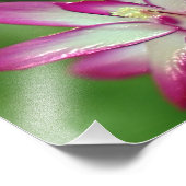 7 x 5 inch, Kodak Professional-fotopapier (Satin) Foto Afdruk (Hoek)