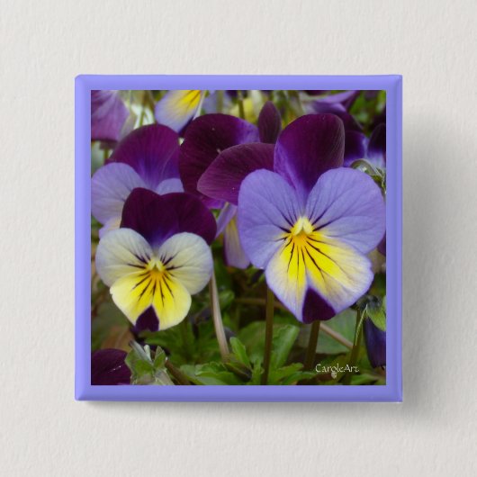 7a Paars blauw geweld Vierkante Button 5,1 Cm (Voorkant)