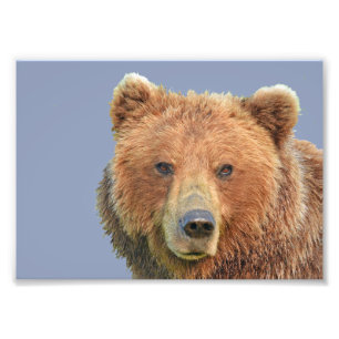 7x5 Kodak Professional-fotopapier (Satin) Foto Afdruk