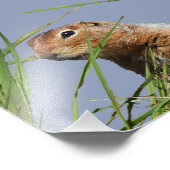 7x5 Kodak Professional-fotopapier (Satin) Foto Afdruk (Hoek)