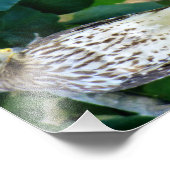 7x5 Kodak Professional-fotopapier (Satin) Foto Afdruk (Hoek)