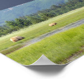 7x5 Poster (Matte) met grizzly beer & cubs (Hoek)