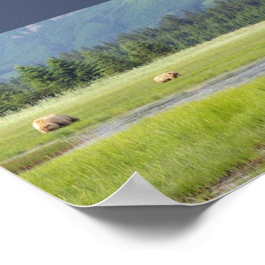 7x5 Poster (Matte) met grizzly beer & cubs (Hoek)