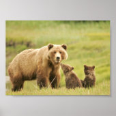 7x5 Poster (Matte) met grizzly beer & cubs (Voorkant)