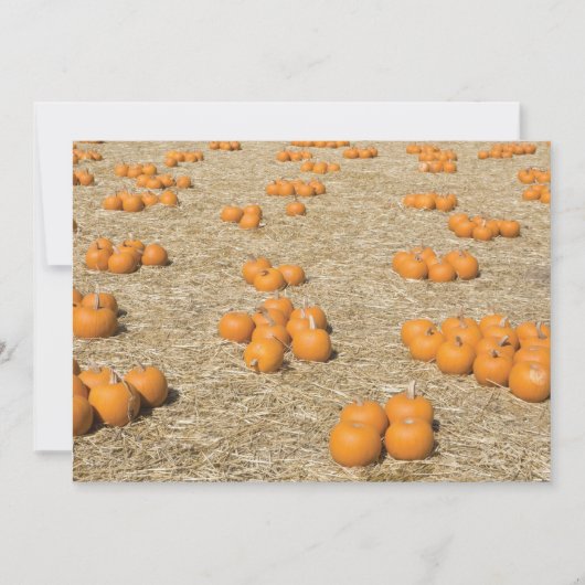 7x5 Thanksgiving Kaart (Voorkant)
