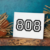 808 FOTOPLAAT (Zijkant)