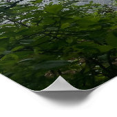 80s Verloren in het Bossen Poster (Hoek)