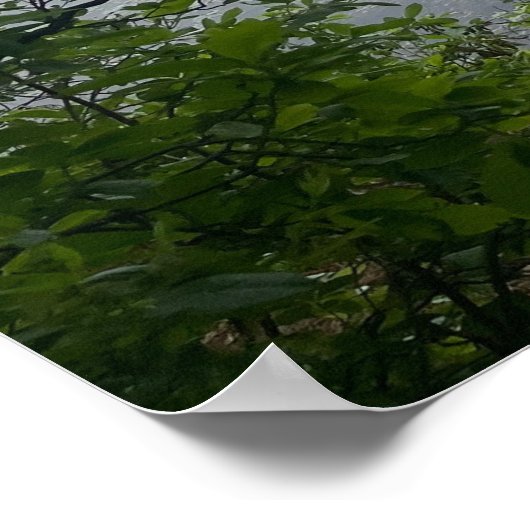 80s Verloren in het Bossen Poster (Hoek)