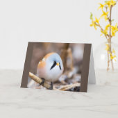 *80th* BIRTHDAY WIST UIT NOORWEGEN FOT Kaart (Gele Bloem)