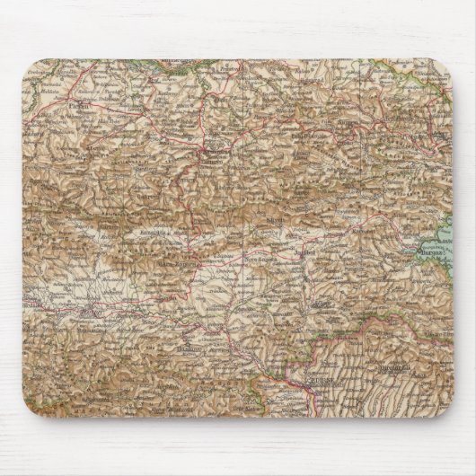 81 Bulgarije Muismat (Voorkant)