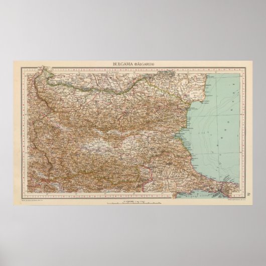 81 POSTER (Voorkant)