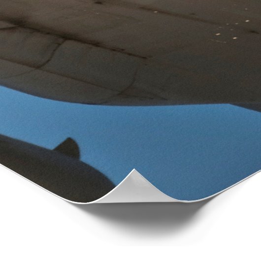 820e Poster van het Roodpaard (Hoek)