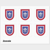 82E AIRBORNE BERET FLASH/DUI STICKERS (Vel)