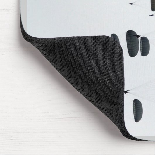 82e vlucht muismat (Hoek)