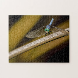 8379-Blue Dragonfly op een Reed in Pond Puzzel