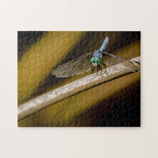 8379-Blue Dragonfly op een Reed in Pond Puzzel (Horizontaal)
