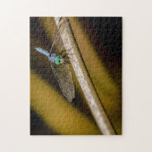 8379-Blue Dragonfly op een Reed in Pond Puzzel (Verticaal)
