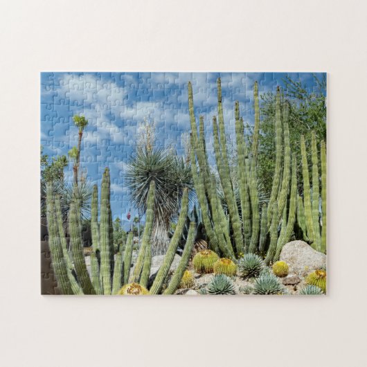 8387-Desert Cactus Garden Legpuzzel (Horizontaal)