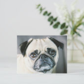 850203-R1-017-7 BRIEFKAART (Staand voorkant)