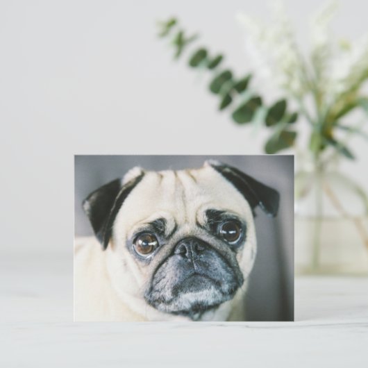 850203-R1-017-7 BRIEFKAART (Staand voorkant)