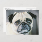 850203-R1-017-7 BRIEFKAART (Voorkant / Achterkant)