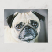 850203-R1-017-7 BRIEFKAART (Voorkant)