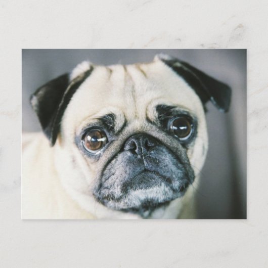 850203-R1-017-7 BRIEFKAART (Voorkant)