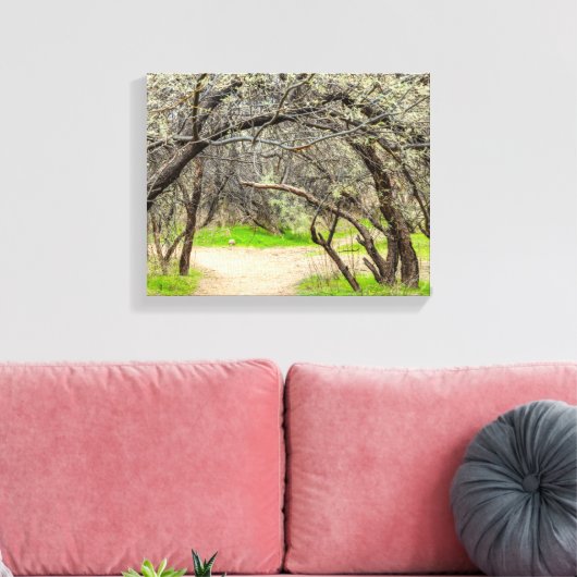 8602-Craggy bomen met wandelpad Canvas Afdruk (Insitu (Woonkamer))
