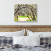 8602-Craggy bomen met wandelpad Canvas Afdruk (Insitu (Slaapkamer))