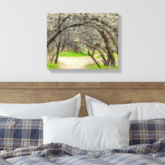 8602-Craggy bomen met wandelpad Canvas Afdruk (Insitu (Slaapkamer))