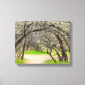 8602-Craggy bomen met wandelpad Canvas Afdruk (Voorkant)