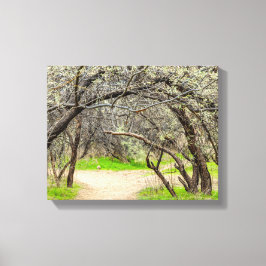 8602-Craggy bomen met wandelpad Canvas Afdruk