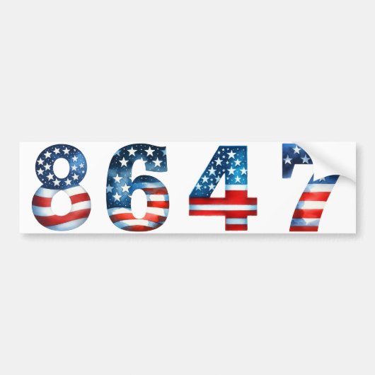 8647 ANTI-TRUMP PRO DEMOCRATIE BUMPERSTICKER (Voorkant)