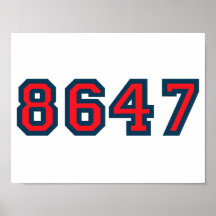 8647 Anti Trump Verzet