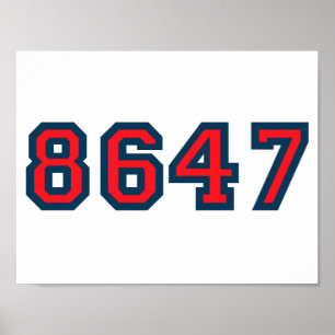 8647 Anti Trump Verzet Poster