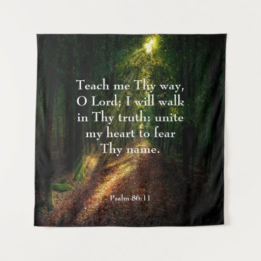 86:11 WANDKLEED (Voorkant)