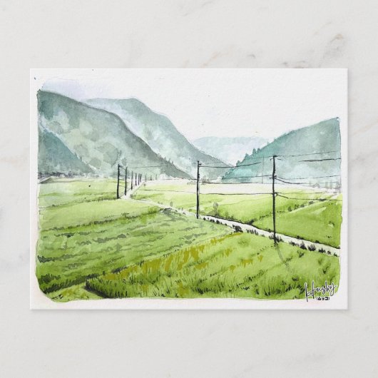 86: Morgen rijstveld Briefkaart (Voorkant)