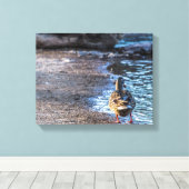 8801-Vrouw Mallard Duck Walking on Shore Canvas Afdruk (Insitu (Houten vloer))
