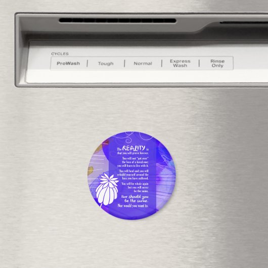 887.sympathie-realiteit is magneet (Insitu (Vaatwasser))