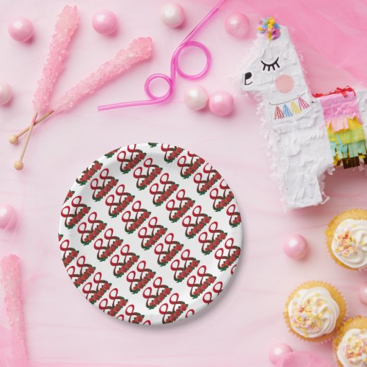 88 88e verjaardag papieren bordje (Feest)